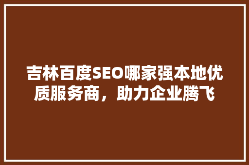 吉林百度SEO哪家强本地优质服务商，助力企业腾飞