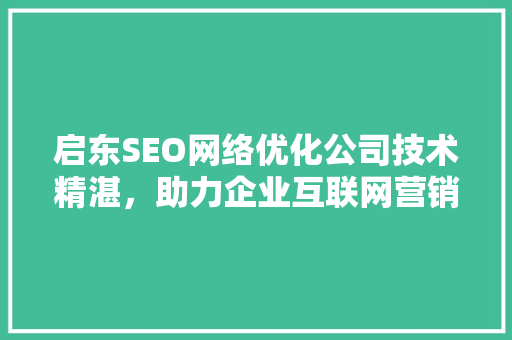 启东SEO网络优化公司技术精湛，助力企业互联网营销腾飞