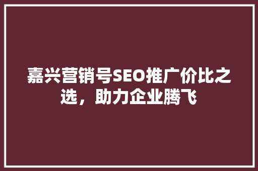 嘉兴营销号SEO推广价比之选，助力企业腾飞