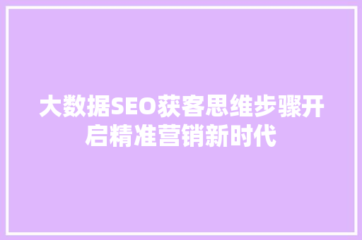 大数据SEO获客思维步骤开启精准营销新时代  第1张