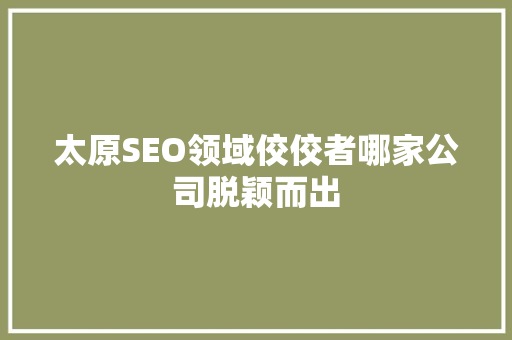 太原SEO领域佼佼者哪家公司脱颖而出
