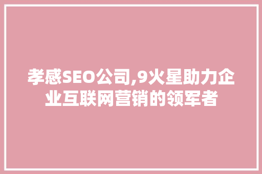 孝感SEO公司,9火星助力企业互联网营销的领军者
