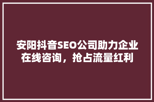 安阳抖音SEO公司助力企业在线咨询，抢占流量红利
