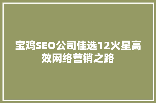 宝鸡SEO公司佳选12火星高效网络营销之路