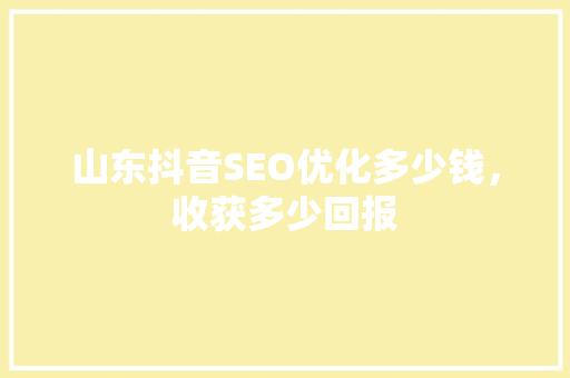 山东抖音SEO优化多少钱，收获多少回报  第1张