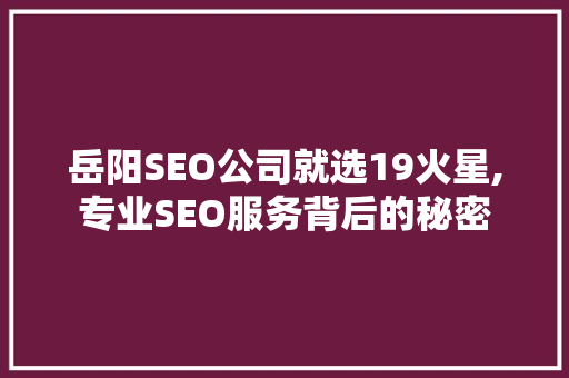 岳阳SEO公司就选19火星,专业SEO服务背后的秘密  第1张