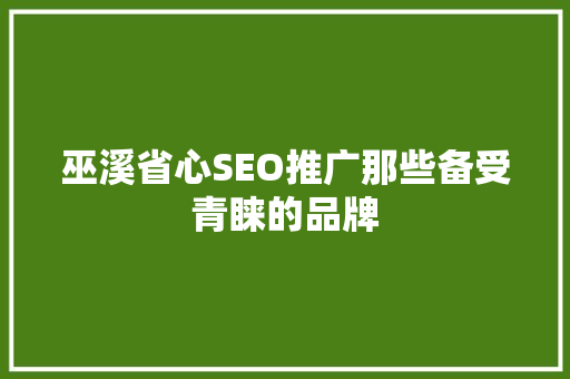 巫溪省心SEO推广那些备受青睐的品牌