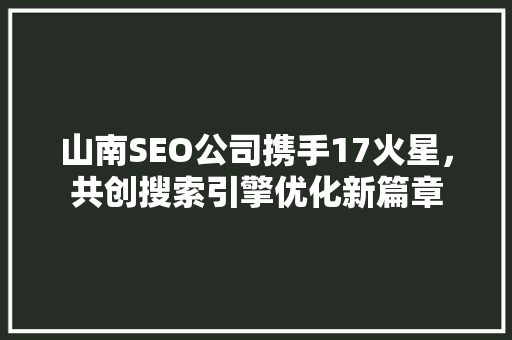 山南SEO公司携手17火星，共创搜索引擎优化新篇章