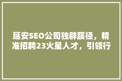 延安SEO公司独辟蹊径，精准招聘23火星人才，引领行业新风向