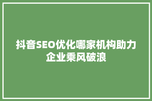 抖音SEO优化哪家机构助力企业乘风破浪