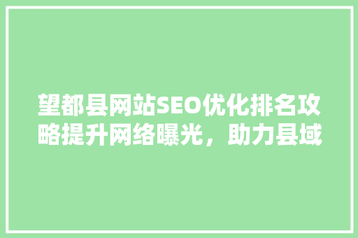 望都县网站SEO优化排名攻略提升网络曝光，助力县域经济腾飞