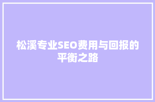 松溪专业SEO费用与回报的平衡之路