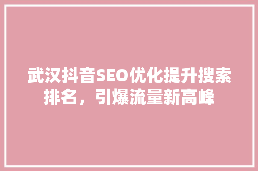 武汉抖音SEO优化提升搜索排名，引爆流量新高峰