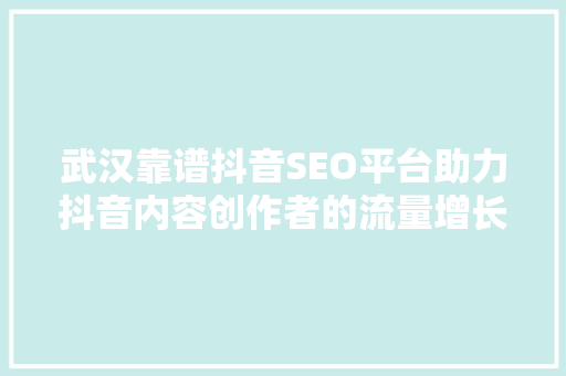 武汉靠谱抖音SEO平台助力抖音内容创作者的流量增长之路  第1张
