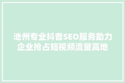 池州专业抖音SEO服务助力企业抢占短视频流量高地