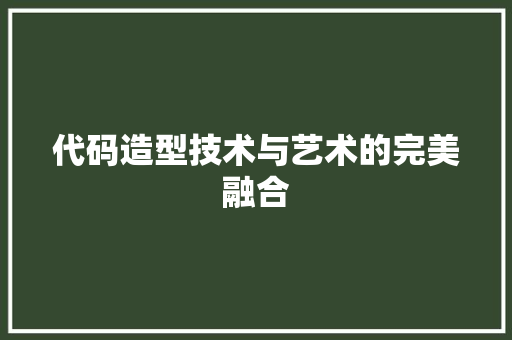 代码造型技术与艺术的完美融合