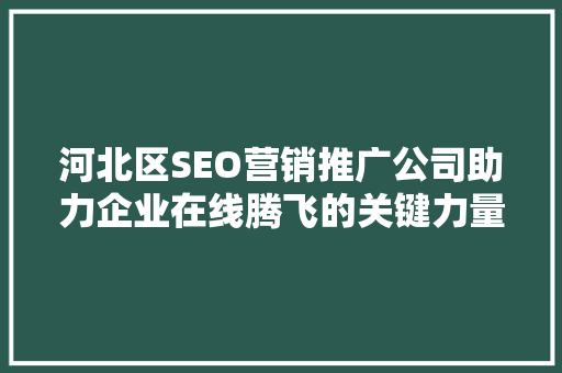 河北区SEO营销推广公司助力企业在线腾飞的关键力量