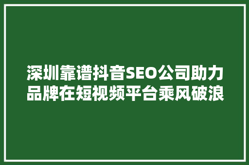 深圳靠谱抖音SEO公司助力品牌在短视频平台乘风破浪