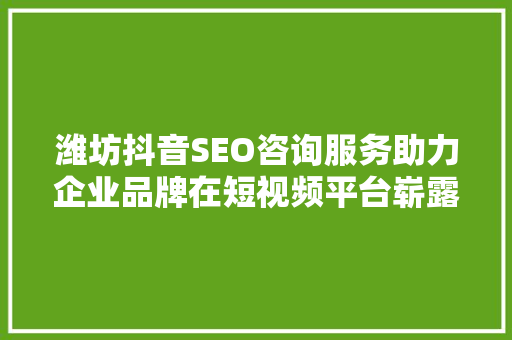 潍坊抖音SEO咨询服务助力企业品牌在短视频平台崭露头角  第1张