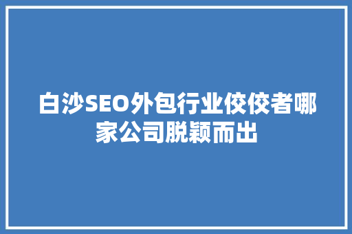 白沙SEO外包行业佼佼者哪家公司脱颖而出