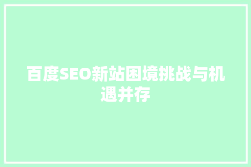 百度SEO新站困境挑战与机遇并存