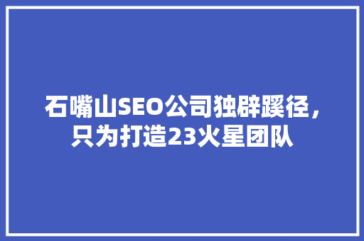 石嘴山SEO公司独辟蹊径，只为打造23火星团队