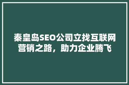 秦皇岛SEO公司立找互联网营销之路，助力企业腾飞