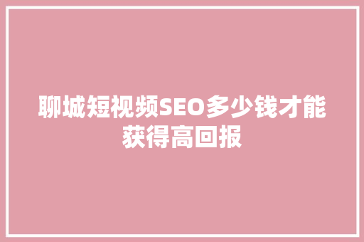 聊城短视频SEO多少钱才能获得高回报