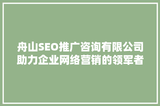 舟山SEO推广咨询有限公司助力企业网络营销的领军者
