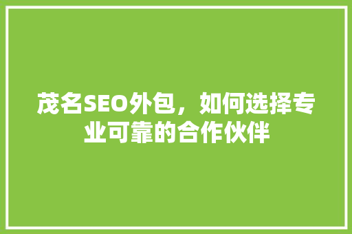 茂名SEO外包，如何选择专业可靠的合作伙伴