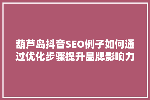 葫芦岛抖音SEO例子如何通过优化步骤提升品牌影响力  第1张