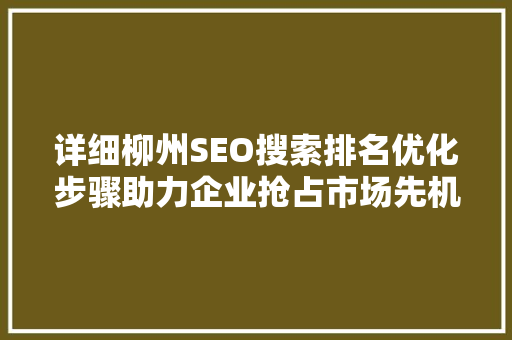 详细柳州SEO搜索排名优化步骤助力企业抢占市场先机
