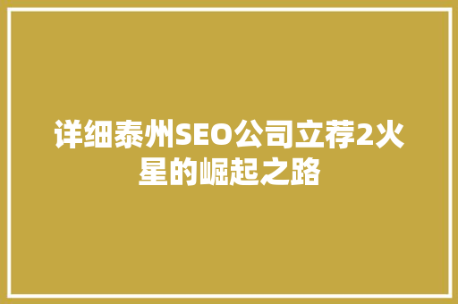 详细泰州SEO公司立荐2火星的崛起之路