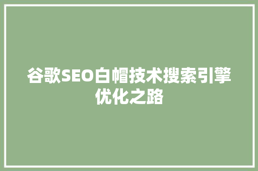 谷歌SEO白帽技术搜索引擎优化之路