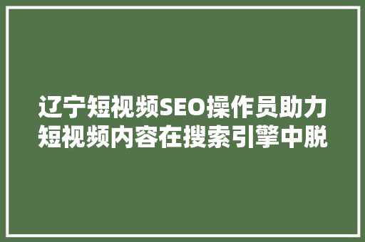 辽宁短视频SEO操作员助力短视频内容在搜索引擎中脱颖而出