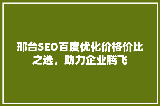 邢台SEO百度优化价格价比之选，助力企业腾飞