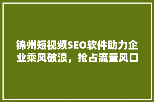 锦州短视频SEO软件助力企业乘风破浪，抢占流量风口  第1张