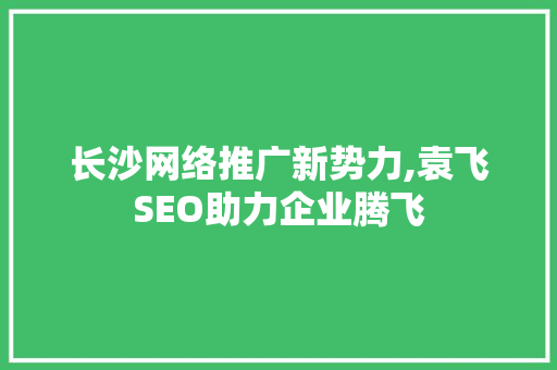 长沙网络推广新势力,袁飞SEO助力企业腾飞