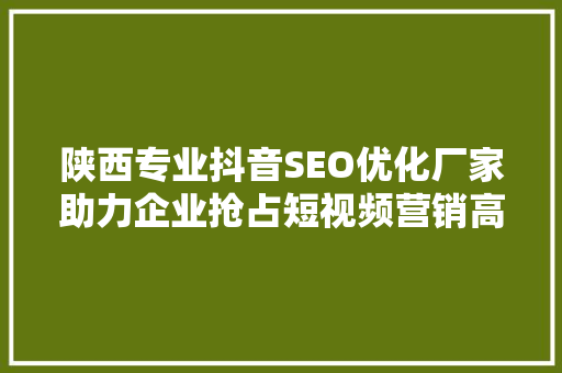 陕西专业抖音SEO优化厂家助力企业抢占短视频营销高地