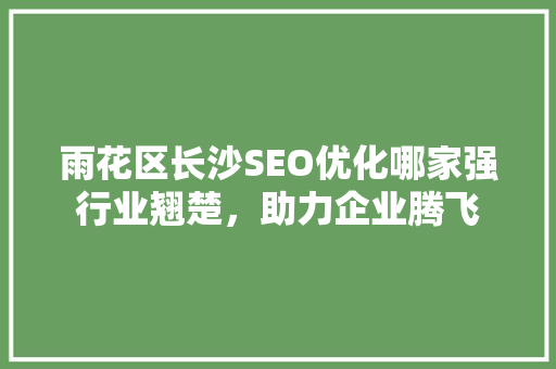 雨花区长沙SEO优化哪家强行业翘楚，助力企业腾飞