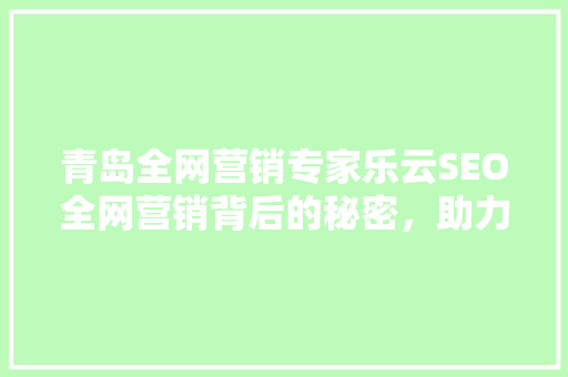 青岛全网营销专家乐云SEO全网营销背后的秘密，助力企业腾飞