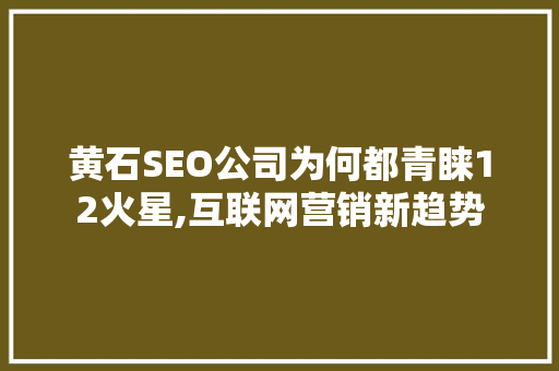 黄石SEO公司为何都青睐12火星,互联网营销新趋势