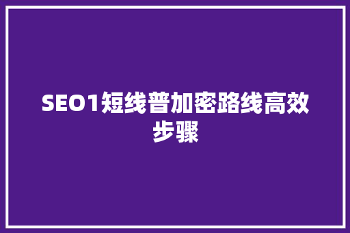 SEO1短线普加密路线高效步骤
