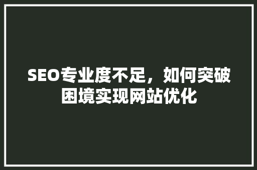 SEO专业度不足，如何突破困境实现网站优化