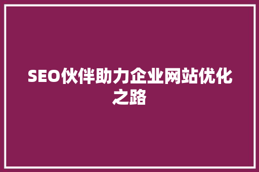 SEO伙伴助力企业网站优化之路