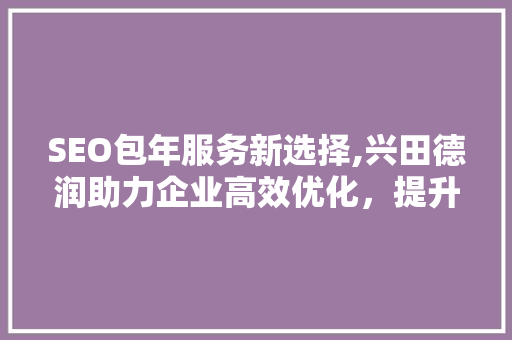 SEO包年服务新选择,兴田德润助力企业高效优化，提升网络竞争力