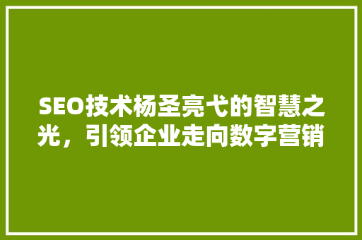 SEO技术杨圣亮弋的智慧之光，引领企业走向数字营销新篇章