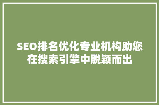 SEO排名优化专业机构助您在搜索引擎中脱颖而出