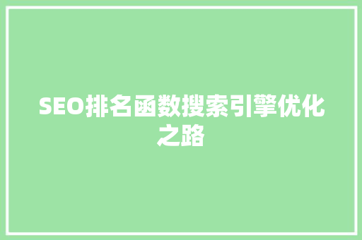 SEO排名函数搜索引擎优化之路