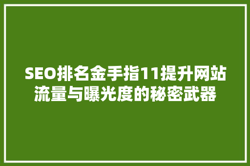 SEO排名金手指11提升网站流量与曝光度的秘密武器